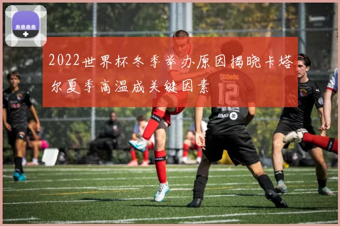 2022世界杯冬季举办原因揭晓卡塔尔夏季高温成关键因素
