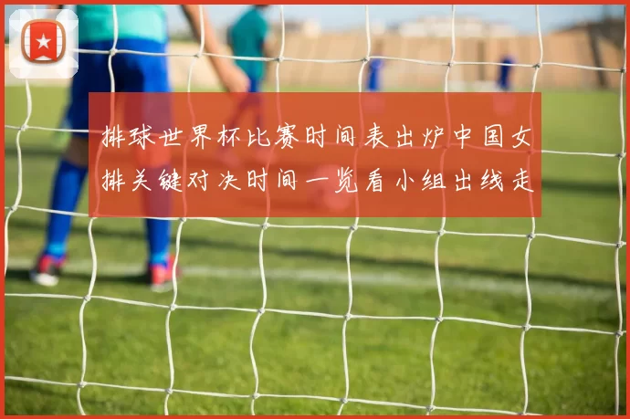 排球世界杯比赛时间表出炉中国女排关键对决时间一览看小组出线走势