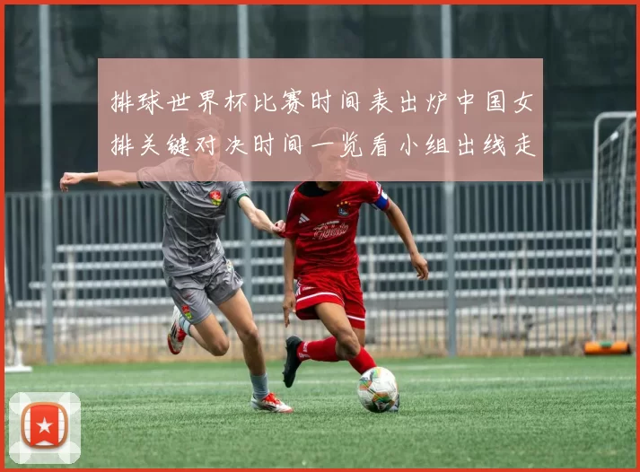 排球世界杯比赛时间表出炉中国女排关键对决时间一览看小组出线走势