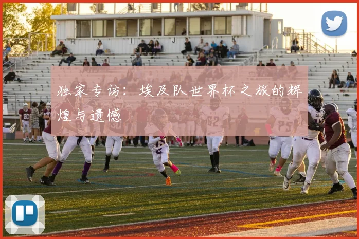 独家专访：埃及队世界杯之旅的辉煌与遗憾