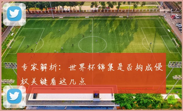 专家解析：世界杯锦集是否构成侵权关键看这几点