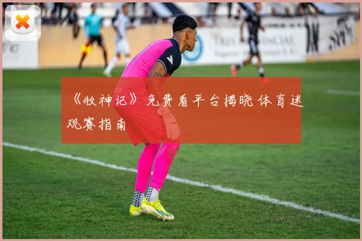 《牧神记》免费看平台揭晓 体育迷观赛指南