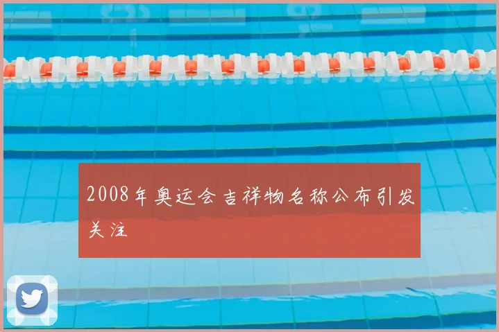 2008年奥运会吉祥物名称公布引发关注