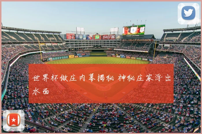 世界杯做庄内幕揭秘 神秘庄家浮出水面
