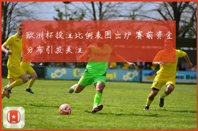 欧洲杯投注比例表图出炉 赛前资金分布引发关注