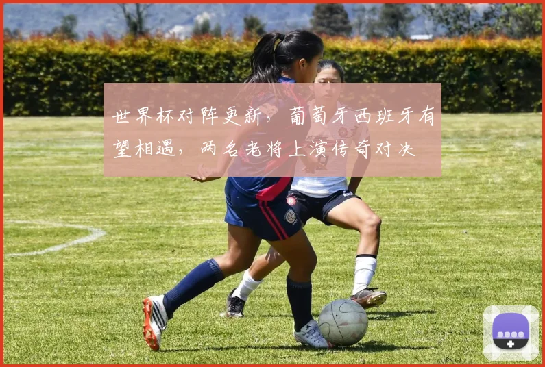 世界杯对阵更新,葡萄牙西班牙有望相遇,两名老将上演传奇对决