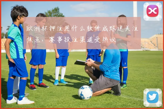 欧洲杯押注用什么软件成球迷关注焦点,赛事投注渠道受热议
