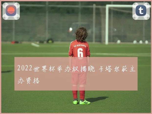 2022世界杯举办权揭晓 卡塔尔获主办资格